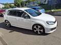 Volkswagen Golf GTI 35  """ Edition 35 """ Weiß - thumbnail 18