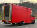 Iveco Daily Imbisswagen/Foodtruck crvena - thumbnail 11