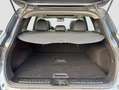 Renault Kadjar 1.3 TCe GPF Intens EDC 103kW Gris - thumbnail 18