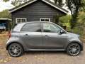 smart forFour EQ BRABUS 18 kWh/82PK LEER/PANO Gris - thumbnail 6