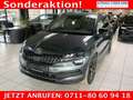 Skoda Karoq Sportline 2.0 TSI 7-Gang-DSG 4x4 SHZvo+hi+LHZ+N... Gris - thumbnail 1