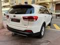 Kia Sorento 2.2l CRDI 200 CV 4x4 7pl Premium Bmv6 Toit Panoram Blanc - thumbnail 5