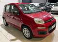 Fiat Panda Benzina Km 90.000 - thumbnail 7