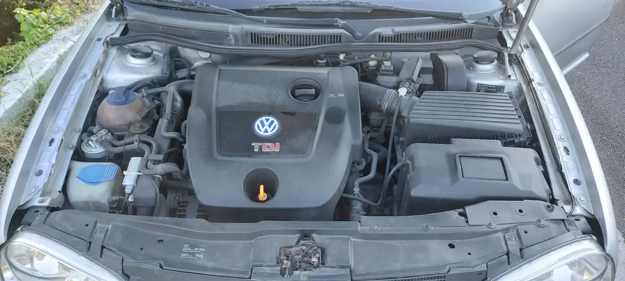 Volkswagen golf 4 1.9 tdi 115cv, foto 2