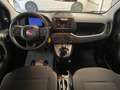 Fiat Panda PANDA "LA PANDINA" 1.0 HYBRID 70cv - KM0 2025 Blu/Azzurro - thumbnail 6