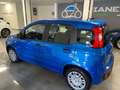 Fiat Panda PANDA "LA PANDINA" 1.0 HYBRID 70cv - KM0 2025 Blu/Azzurro - thumbnail 3