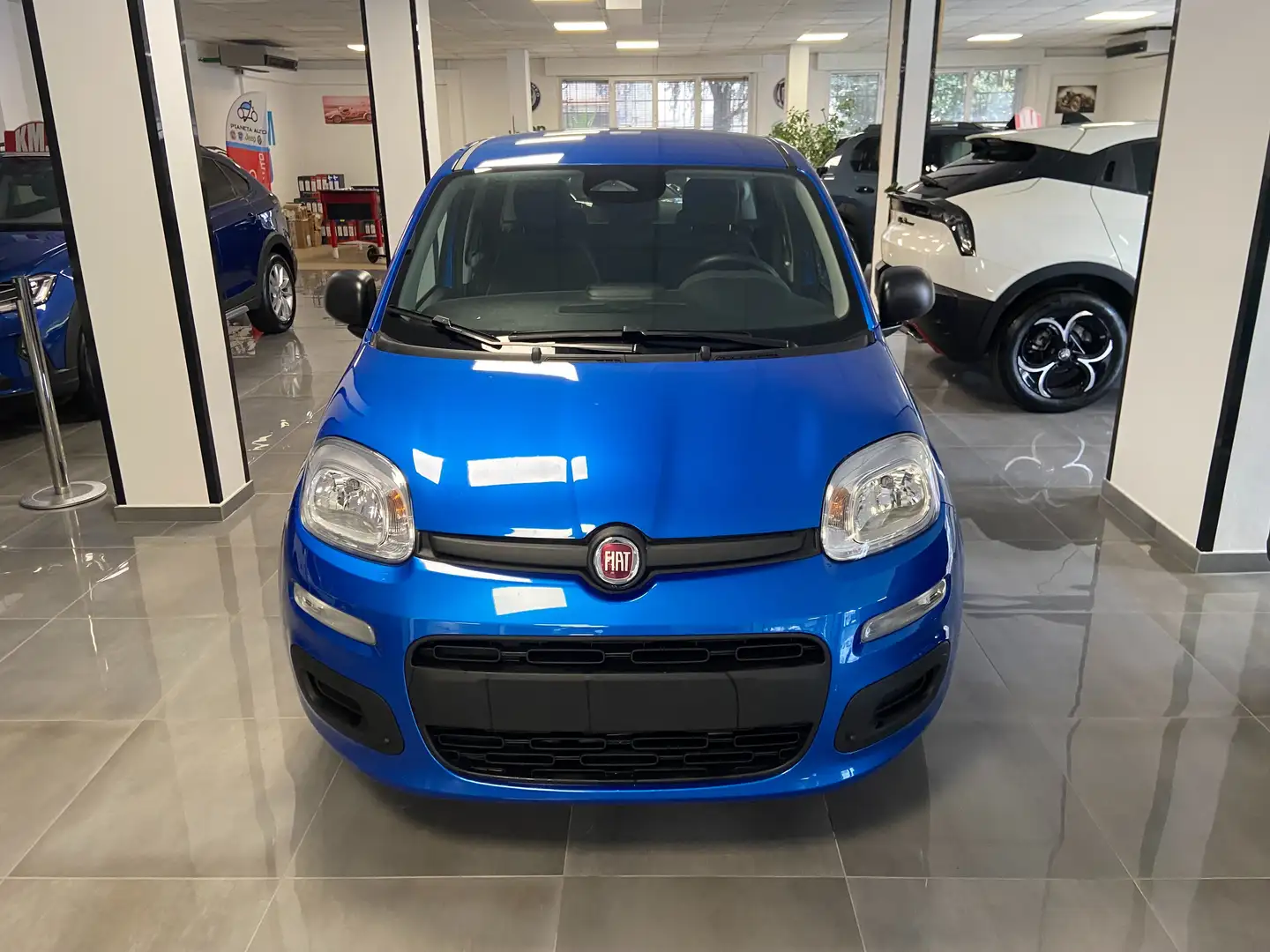 Fiat Panda PANDA "LA PANDINA" 1.0 HYBRID 70cv - KM0 2025 Blu/Azzurro - 1