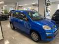 Fiat Panda PANDA "LA PANDINA" 1.0 HYBRID 70cv - KM0 2025 Blu/Azzurro - thumbnail 5