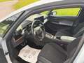 CUPRA Born 58/62kwh * 150KW/204PS - thumbnail 7