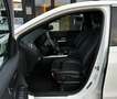 Mercedes-Benz B 200 d Aut.*AHK*Leder*360°*HUD*Ambiente*Widescreen* Weiß - thumbnail 9