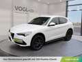 Alfa Romeo Stelvio Super 2,0 ATX AWD Weiß - thumbnail 1