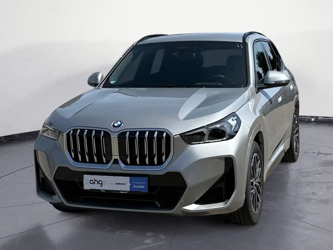 BMW X1 sDrive20i M Sport Navi Klima PDC Kamera AHK H 2