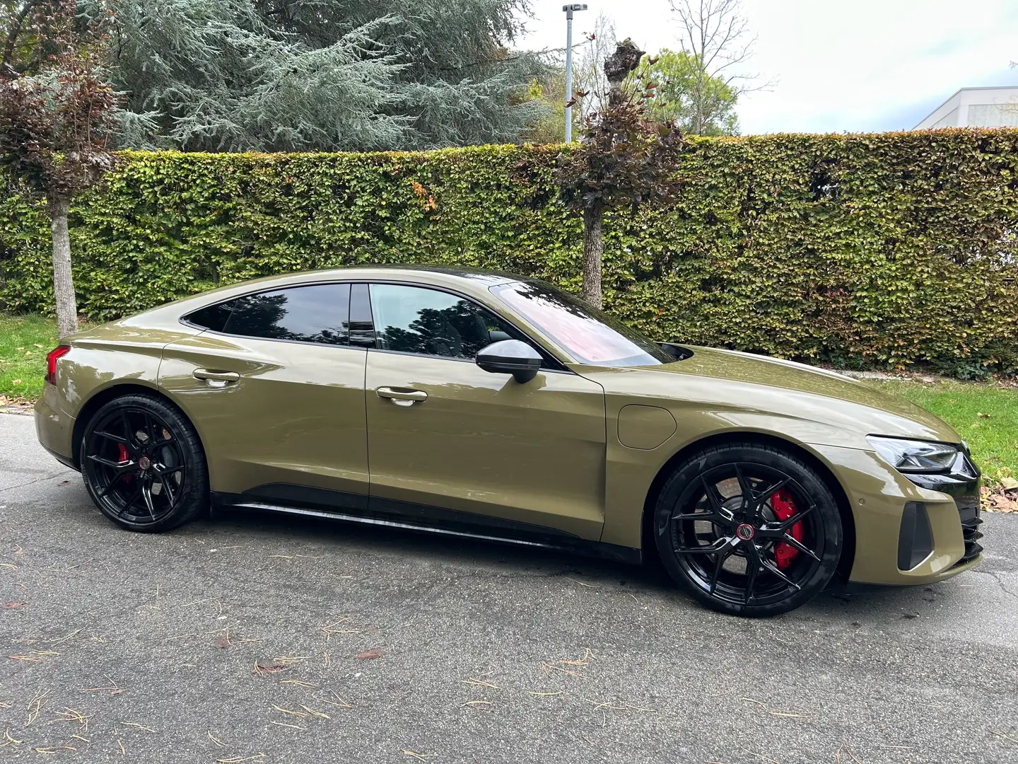 Audi RS e-tron GT RS e-tron GT quattro in heel goede staat! Grün - 1