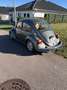 Volkswagen Käfer - thumbnail 2