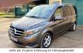 Mercedes-Benz V 220 AVANTG./EDITION 4MATIC, Leder, Navi, LED Grau - thumbnail 1