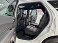 Dodge Durango 5.7 R/T HEMI BLACKTOP/Memory/Pano/4xShz. Blanco - thumbnail 27
