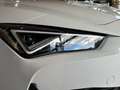 CUPRA Leon Sportstourer e-HYBRID 1.4 Navi LED ACC AD Digitale Weiß - thumbnail 6