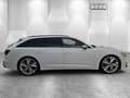 Audi S6 Avant 3.0TDI quattro basis ACC MATRIX LED KAMER... Blanco - thumbnail 14