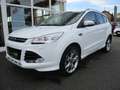 Ford Kuga 1.5 EcoBoost ST Navi Sitzhzg Klima Kamera Wit - thumbnail 1