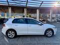 Volkswagen Golf 1.0 eTSI EVO DSG Life Blanc - thumbnail 7