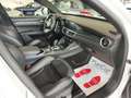 Alfa Romeo Stelvio Veloce Tì 280cvAT8 Q4 Navi Camera+Sensori Cerchi20 Wit - thumbnail 43