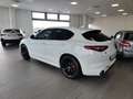 Alfa Romeo Stelvio Veloce Tì 280cvAT8 Q4 Navi Camera+Sensori Cerchi20 Wit - thumbnail 9