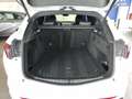 Alfa Romeo Stelvio Veloce Tì 280cvAT8 Q4 Navi Camera+Sensori Cerchi20 Wit - thumbnail 48