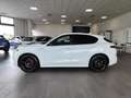 Alfa Romeo Stelvio Veloce Tì 280cvAT8 Q4 Navi Camera+Sensori Cerchi20 Wit - thumbnail 47