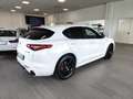 Alfa Romeo Stelvio Veloce Tì 280cvAT8 Q4 Navi Camera+Sensori Cerchi20 Wit - thumbnail 8