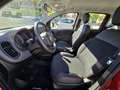 Fiat Panda 1.0 Gse Red Hybrid Burdeos - thumbnail 23