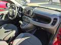 Fiat Panda 1.0 Gse Red Hybrid Burdeos - thumbnail 20
