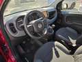 Fiat Panda 1.0 Gse Red Hybrid Burdeos - thumbnail 22