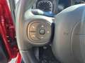 Fiat Panda 1.0 Gse Red Hybrid Burdeos - thumbnail 27