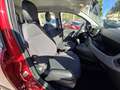 Fiat Panda 1.0 Gse Red Hybrid Burdeos - thumbnail 18
