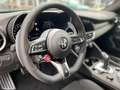 Alfa Romeo Giulia 2.9 V6 Bi-Turbo 382 kW AT8 Quadrifoglio Vert - thumbnail 10