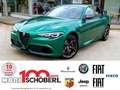 Alfa Romeo Giulia 2.9 V6 Bi-Turbo 382 kW AT8 Quadrifoglio Vert - thumbnail 1