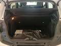 Citroen C3 C3 PureTech 100 S&S Plus Blanc - thumbnail 5