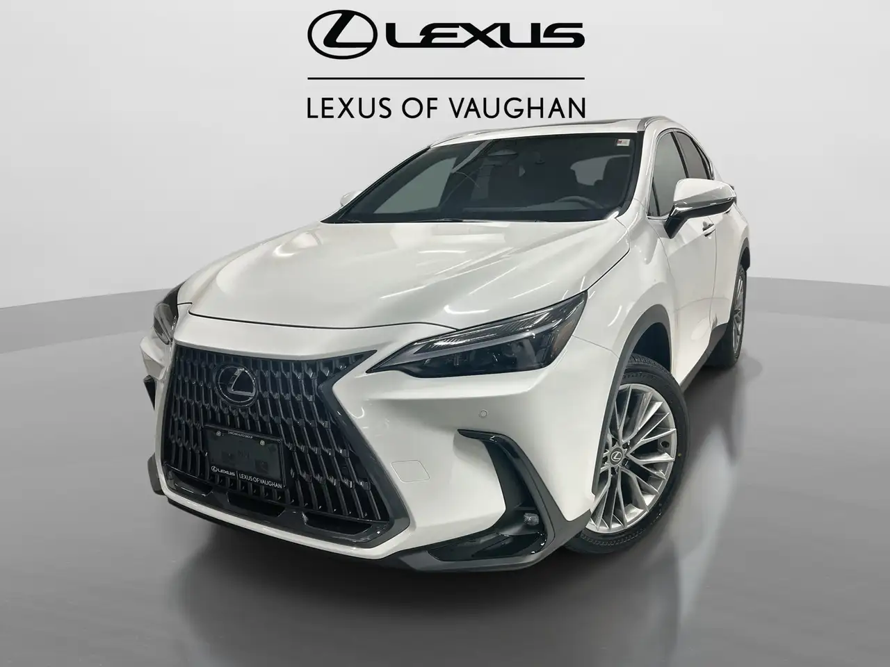 2026 Lexus NX