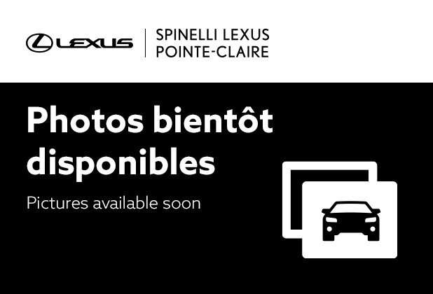 2022 Lexus RX **LUXURY AWD**