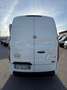 Ford Transit Custom 2.0Hybrid 130cv L2H2 FURGONE Km 88.000 del 2023 Blanco - thumbnail 3