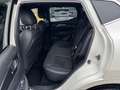 Nissan Qashqai 1.7 dCi N-Tec 4x4 AUTOMATIK NAVI 360°KAM Blanc - thumbnail 11
