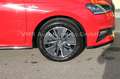 Skoda Fabia 1.0 TSI DSG Monte Carlo *APP*5J.Garantie* Rot - thumbnail 6