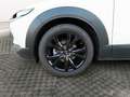 Mazda CX-30 CX30 ( 2024 ) 2024 2.0L E-SKYACTIV G 110KW 150CV 6 Blanco - thumbnail 10