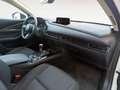 Mazda CX-30 CX30 ( 2024 ) 2024 2.0L E-SKYACTIV G 110KW 150CV 6 Blanco - thumbnail 15