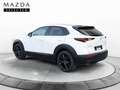 Mazda CX-30 CX30 ( 2024 ) 2024 2.0L E-SKYACTIV G 110KW 150CV 6 Blanco - thumbnail 4