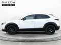 Mazda CX-30 CX30 ( 2024 ) 2024 2.0L E-SKYACTIV G 110KW 150CV 6 Blanco - thumbnail 3