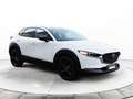 Mazda CX-30 CX30 ( 2024 ) 2024 2.0L E-SKYACTIV G 110KW 150CV 6 Blanco - thumbnail 8