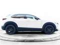 Mazda CX-30 CX30 ( 2024 ) 2024 2.0L E-SKYACTIV G 110KW 150CV 6 Blanco - thumbnail 7