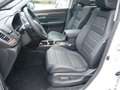 Honda CR-V Hybrid 2.0 i-MMD EXECUTIVE 4WD PANO+LEDER Weiß - thumbnail 17