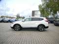 Honda CR-V Hybrid 2.0 i-MMD EXECUTIVE 4WD PANO+LEDER Blanc - thumbnail 9